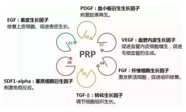 长春莱美prp自体细胞