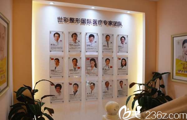 杭州世彩整形医生团队列表