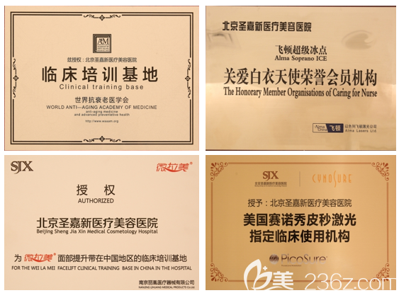 北京圣嘉新部分荣誉证书