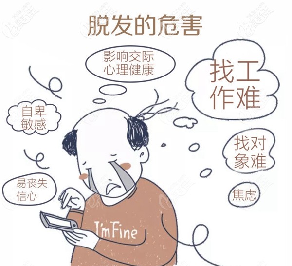 脱发给发友们造成的危害